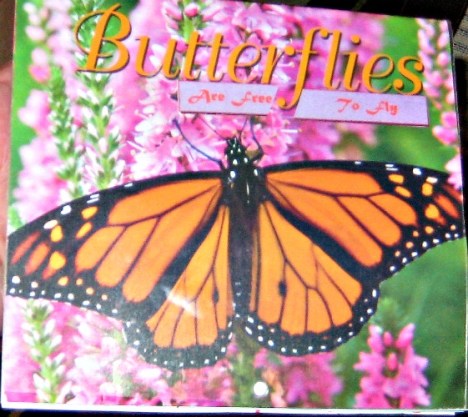butterfly cover